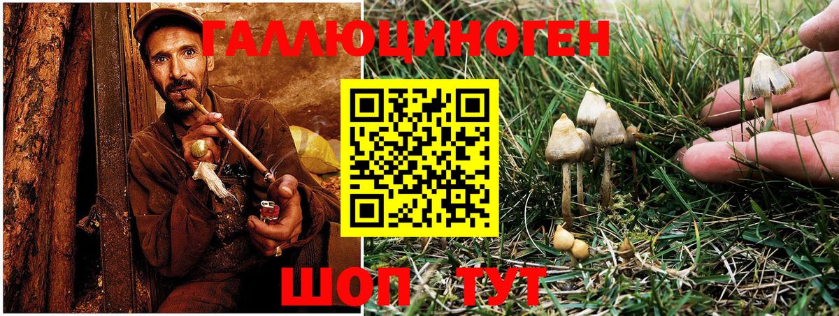 Галлюциногенные грибы MAGIC MUSHROOMS  Вход с VPN  Астрахань 