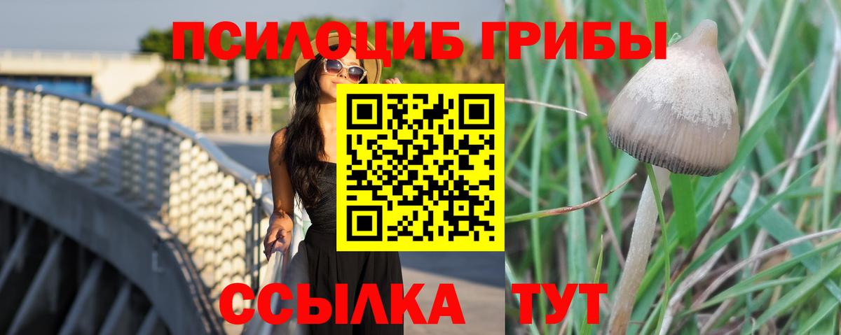 Галлюциногенные грибы мухоморы Астрахань